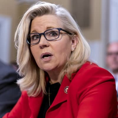 Liz Cheney Photo